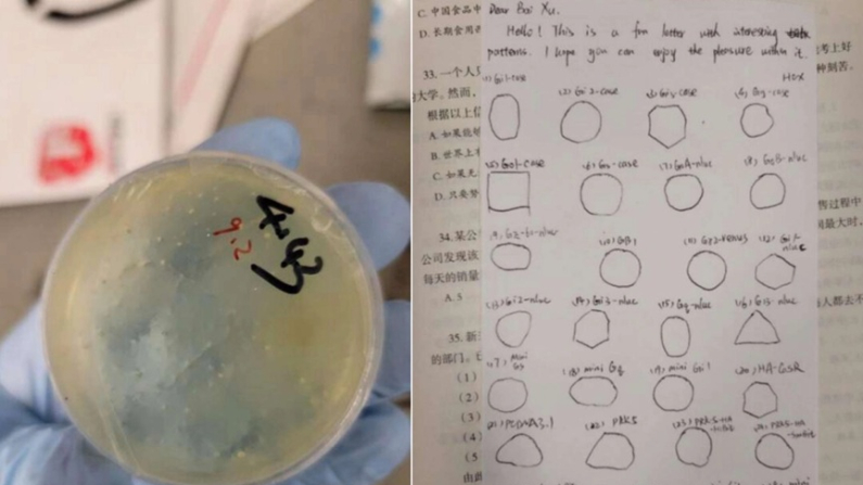 Le piastre di Petri e gli appunti trovati all'nterno dei pacchi di Han Chengxuan. Foto: ministero della Giustizia  Usa