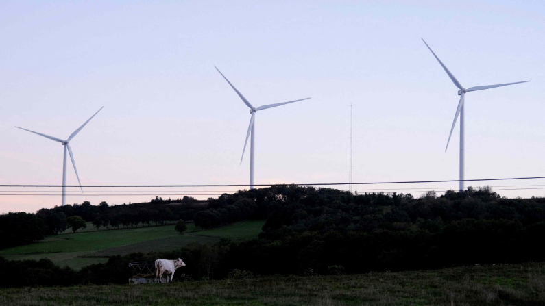 FOTO D'ARCHIVIO:  Turbine eoliche di fronte a una mucca nel comune di Paradela, in Galizia, Spagna, 27 settembre 2022. REUTERS/Nacho Doce/Foto d'archivio