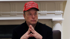 Metamorfosi Elon