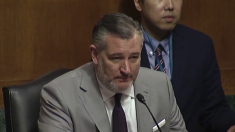 Ted Cruz: il Pcc manipola gli ambientalisti