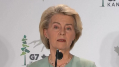 Dazi, Borghi (Iv): von der Leyen ci metta la faccia e conduca trattativa