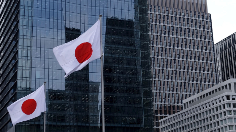 Bandiere nazionali giapponesi, Tokyo, Giappone, 22 febbraio 2016. Foto: REUTERS/Toru Hanai/File Photo