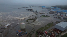 Lo Tsunami nel Pacifico mette in allarme Usa, Russia e Giappone