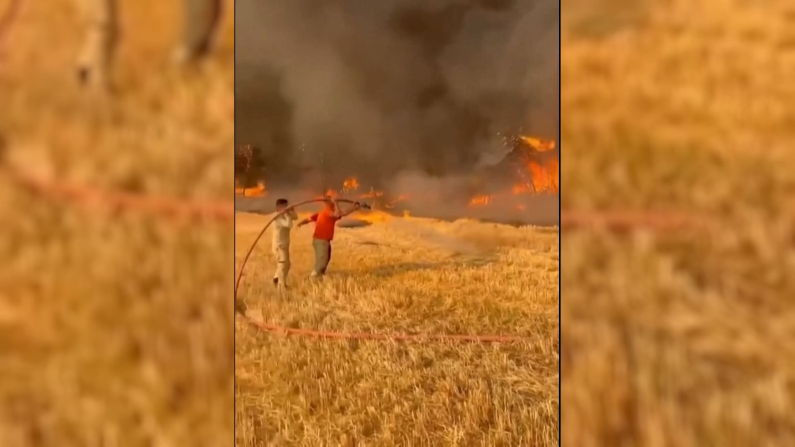 Video: Reuters