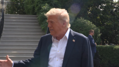 Trump: recuperati 10 mila bambini scomparsi