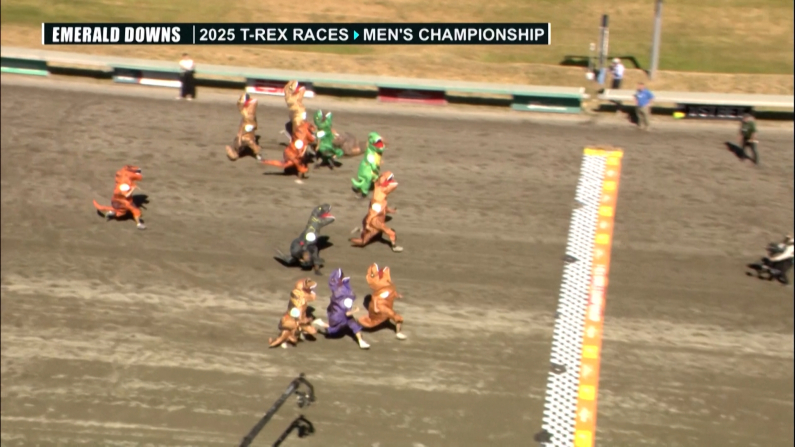 Foto: Reuters/Emerald Downs
