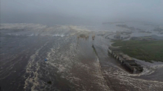 Allerta tsunami e Tempesta Co-May Shanghai evacua 280 mila persone