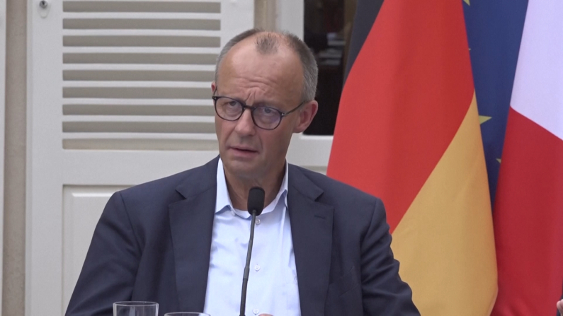FRIEDRICH MERZ (Screenshot da video).