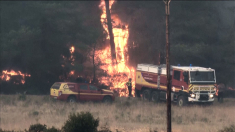La Francia combatte contro il più grande incendio degli ultimi 80 anni