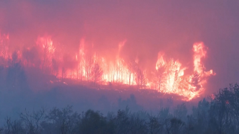L'incendio in Francia (Immagine: Screenshot da Reuters)