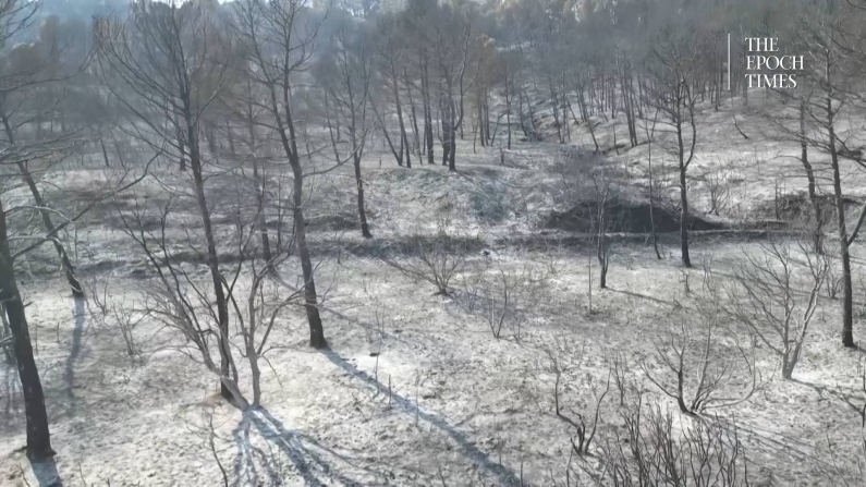 Screenshot da video