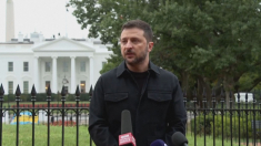 Zelensky: Putin non comprende altro che la forza, serve pressione su Mosca