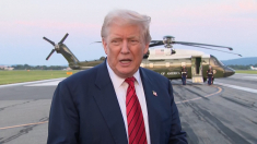 Trump su Sydney Sweeney: adoro la sua pubblicità