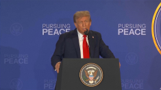Trump: nessun accordo con Putin sull’aspetto cruciale