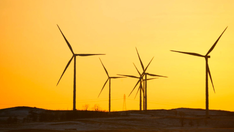 Turbine eoliche a Beulah, Dakota del Nord, il 22 dicembre 2023. (Madalina Vasiliu/The Epoch Times)
