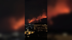 Incendio sul Monte Somma nel Parco nazionale del Vesuvio