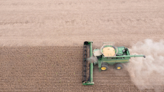 La nuova rivoluzione agricola delle macchine-robot con intelligenza artificiale