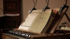 “Effetto Mozart” ovvero come la musica classica rigenera il cervello