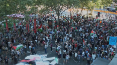 Le proteste dei manifestanti filopalestinesi alla Vuelta in Spagna
