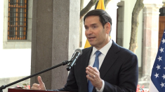 Rubio ospita Cena transatlantica con ministri dei Paesi membri di Ue e Nato