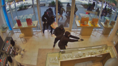 Rapina lampo in una gioielleria della California