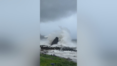 Il devastante effetto del Tifone Ragasa sull’isola Orchid a Taiwan