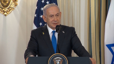 Boccia (Pd): problema è fermare Netanyahu non Flotilla