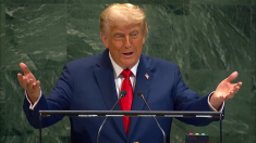 Donald Trump ha umiliato la Tigre di Carta russa ma l’obiettivo è fermare la guerra