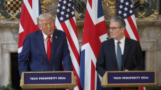 Trump: «Putin mi ha deluso»