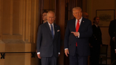«Un grande re»: Trump saluta re Carlo al Castello di Windsor