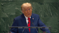 Schiaffo di Trump a Putin: l’invasione ucraina è un fallimento e la Russia è una tigre di carta