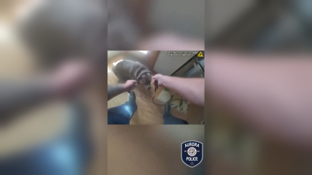 Salvato cane da un incendio in Illinois