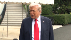 Miran rimpiazza Powel alla Fed Trump ironizza: «dovrebbero ascoltare persone intelligenti come me»