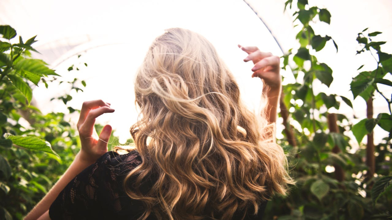 Immagine di  Tim Mossholder via Pexels