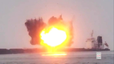 Egitto e Arabia Saudita alleati per una forza navale comune nel Mar Rosso
