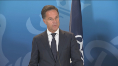 Rutte: la Nato prende molto sul serio le interferenze Gps