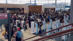 Caos negli aeroporti di Heathrow e Berlino Brandeburgo a seguito di un attacco informatico