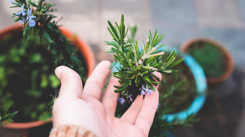 Immagine di Lachlan Ross via Pexels