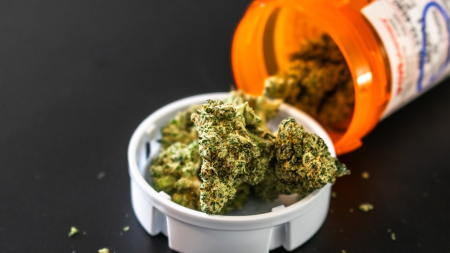 Allarme psicosi e dipendenza da Cannabis a alta potenza