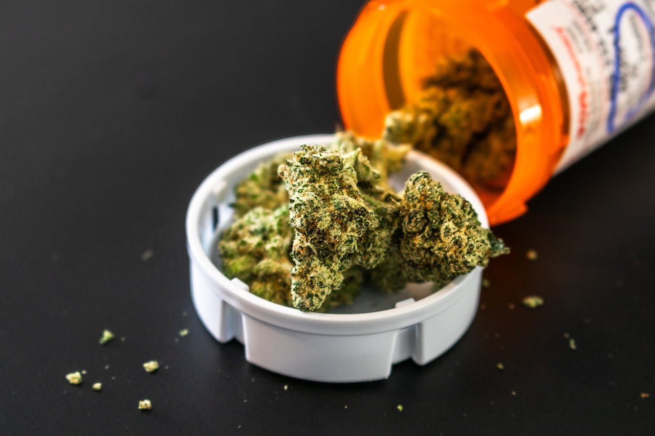 Allarme psicosi e dipendenza da Cannabis a alta potenza