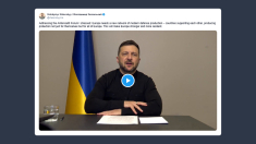 Zelensky: Putin finge di non volere la pace
