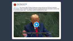 Trump su politiche clima: manifattura spostata in Paesi inquinanti che violano le regole