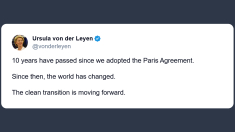 Von der Leyen: la transizione verso l’energia pulita continua