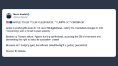 Apple: regole imposte da Ue sono minaccia alla sicurezza degli utenti