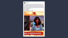 Terzi: Rai un servizio ai giornalisti della propaganda di Hamas