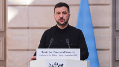 Zelensky a Putin: vieni tu a Kiev