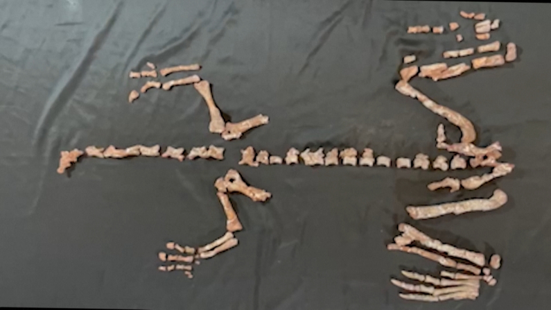 Foto: screenshot da video