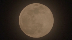 Rio de Janeiro e Bogotá illuminate dalla superluna