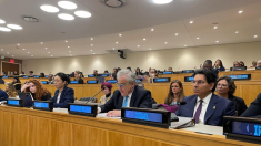 Dichiarazione dell’Italia sul rapporto Un genocidio internazionale di Francesca Albanese