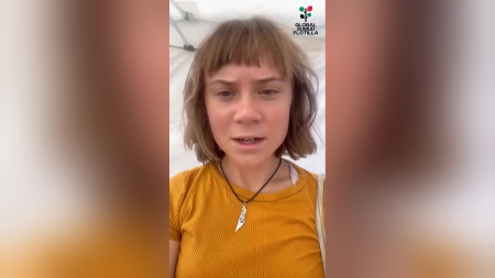 Dichiarazione preregistrata di Greta diffusa dopo l’intercettazione israeliana